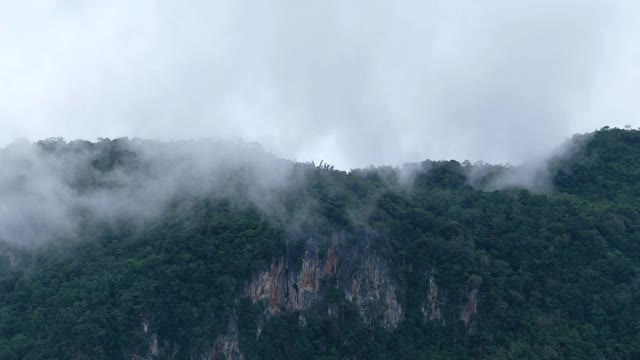 风景雾蒙蒙的绿叶，热带雨林，山脉和丘陵视频素材