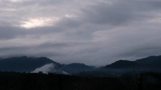 风景雾蒙蒙的绿叶，热带雨林，山脉和丘陵视频素材