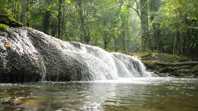 举起镜头的淡水流过岩石到天然池塘的绿色森林。夏日清晨阳光下的热带森林景色。自然美。视频素材