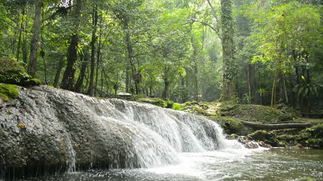 清晨阳光下的热带森林小瀑布美景。淡水从丛林中茂密的叶丛中流淌而出。自然美。视频素材