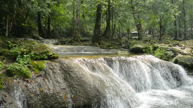 淘金淡水流过岩石的自然池塘之间的绿色林地。夏日清晨阳光下的热带森林景色。自然美。视频素材