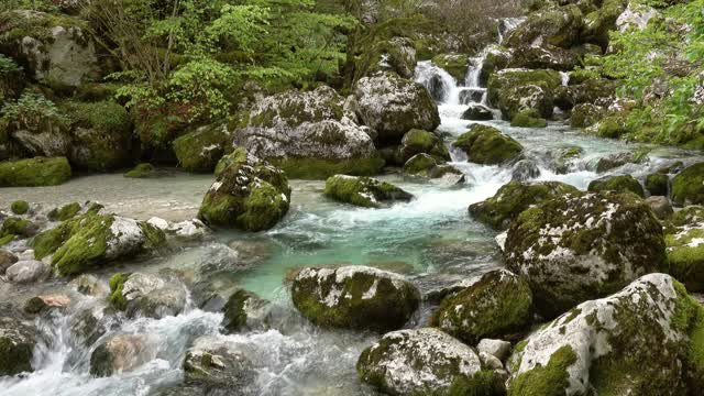 小溪和苔藓的石头在春天的森林视频素材