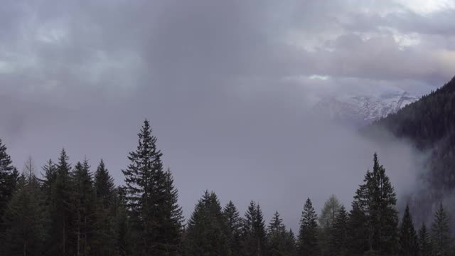 高山阿尔卑斯山景观与树木在雾云视频素材