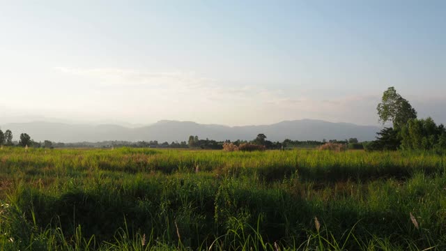 有山和田野的乡村景色视频素材