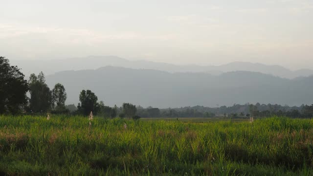 有山和田野的乡村景色视频素材