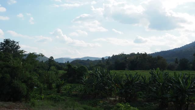 有山和田野的乡村景色视频素材