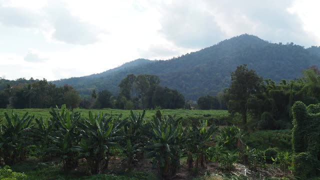 有山和田野的乡村景色视频素材