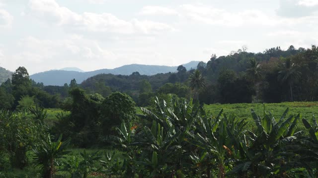 有山和田野的乡村景色视频素材