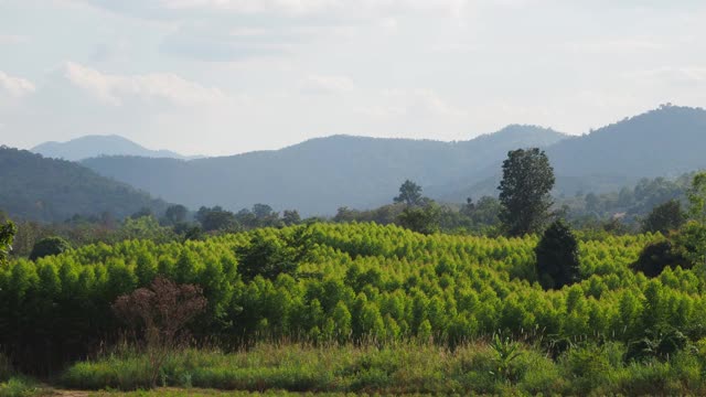 有山和田野的乡村景色视频素材