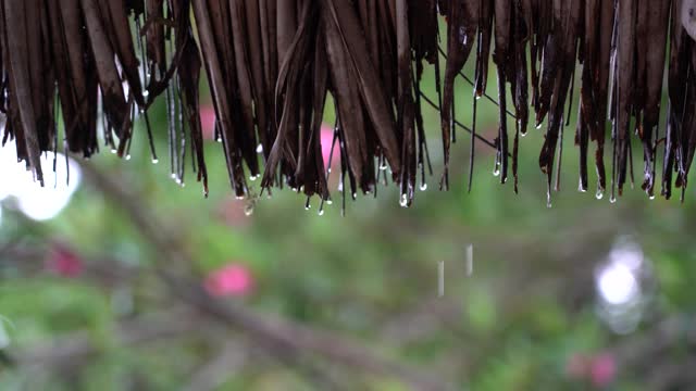 夏天的雨，大雨滴落在稻草屋顶，坦桑尼亚，非洲视频素材