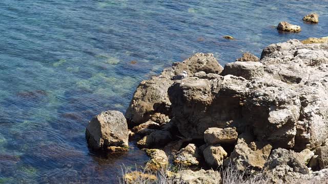 黑海岩石海岸，克里米亚风光。视频素材