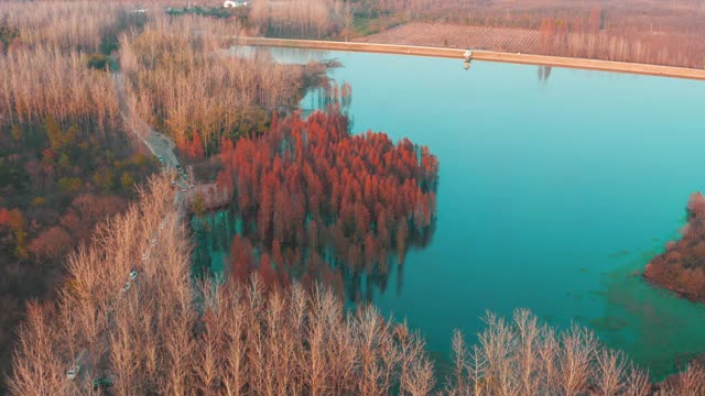 鸟瞰图秋天的森林和蓝色的湖视频素材