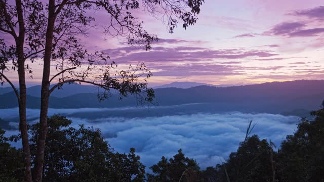 2020年12月，泰国Yala Betong，艾耶翁风景区，美丽的日出和雾海视频素材