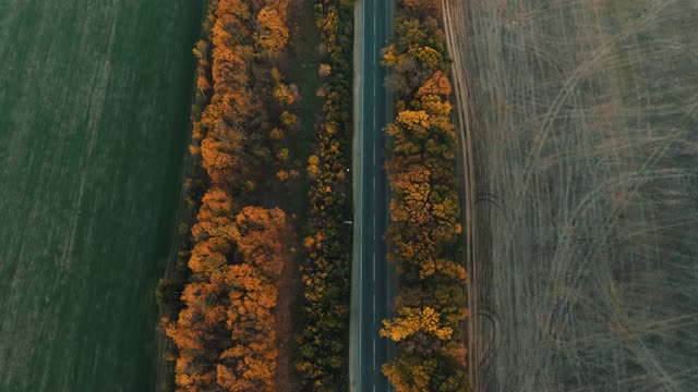 一辆孤独的汽车在被树木和田野包围的乡村公路上行驶的鸟瞰图。视频素材