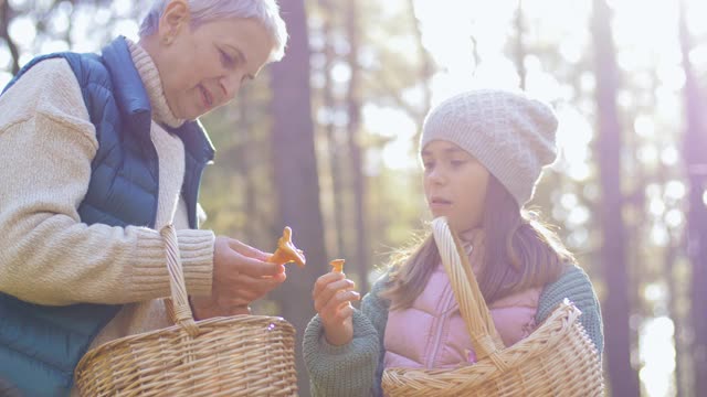 奶奶和孙女在采蘑菇视频素材