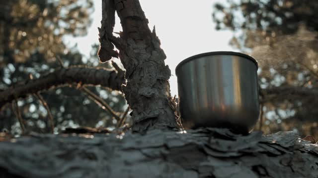 在森林里喝咖啡视频素材