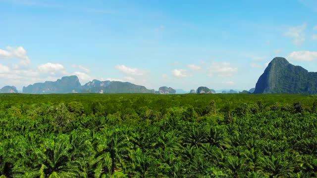 东南亚的山景鸟瞰图。视频素材