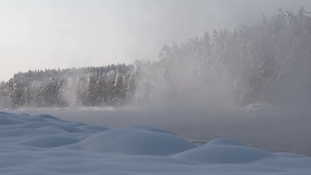 冬天冰冻森林中的一条小河。雪堆在海边的雾中视频素材