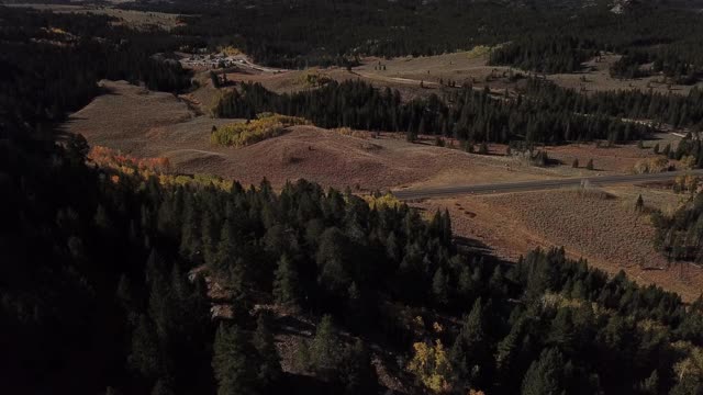 空中拉回来和倾斜起来揭示雪山超越秋天彩色的树叶视频素材