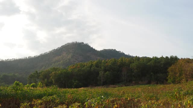 有山和田野的乡村景色视频素材