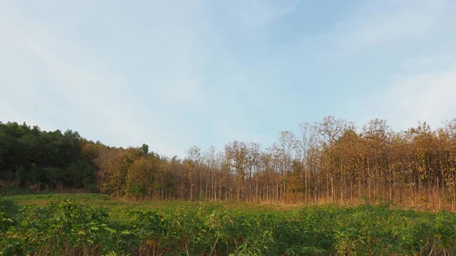 有山和田野的乡村景色视频素材