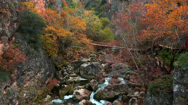 峡谷在秋天视频素材