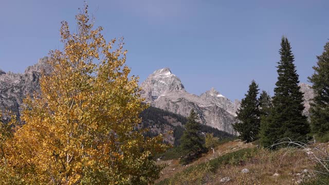 景色的提顿山与秋天的颜色前景视频素材