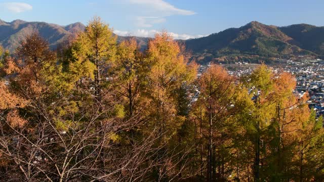 美丽的风景，雪山富士山。视频素材