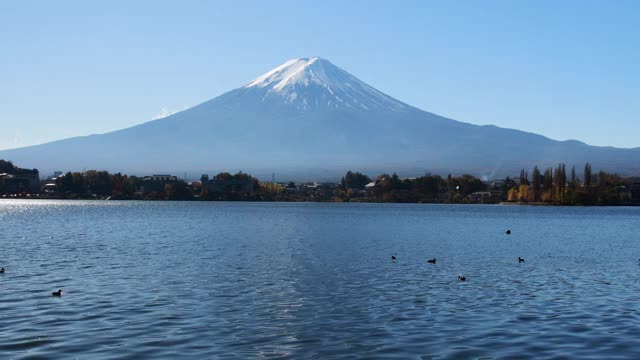 富士山和日本的湖视频素材