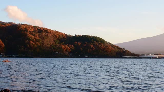 富士山和日本的湖视频素材