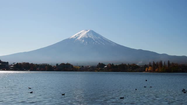 富士山和日本的湖视频素材