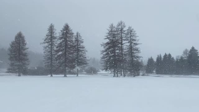 暴风雪inTrentino视频素材