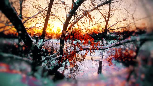 冬天的风景,日落。雪花的背景视频素材