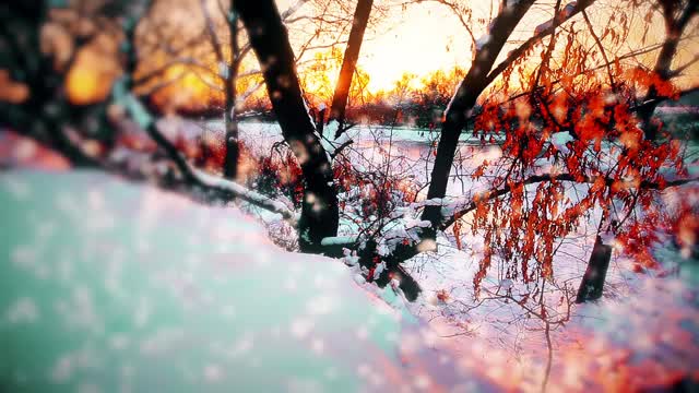 冬天的风景,日落。雪花的背景视频素材