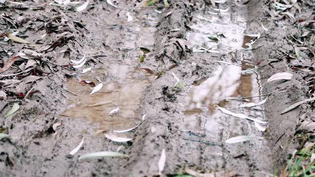 汽车跟踪视频下载