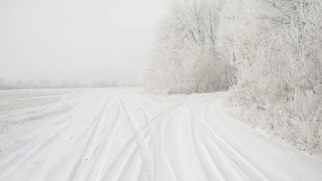 在一个美丽的霜冻的早晨，穿过覆盖着积雪的森林。没有人视频素材