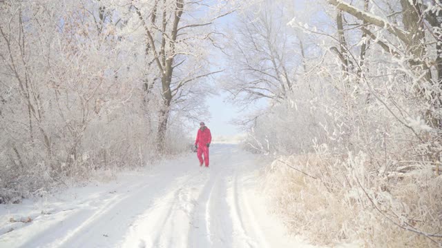 在一个美丽的霜冻的早晨，一名男子走过树木覆盖着积雪的冬季森林视频素材