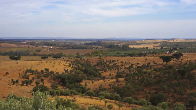 阿连特霍美丽的绿色和棕色的风景与橄榄树和软木橡树在Terena，葡萄牙视频素材