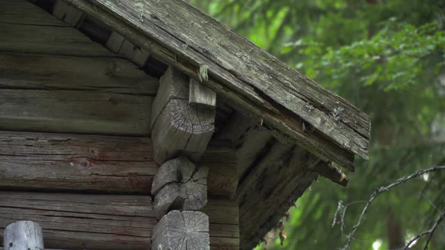 一个角落的接缝和一个老木屋的屋檐的特写视频素材