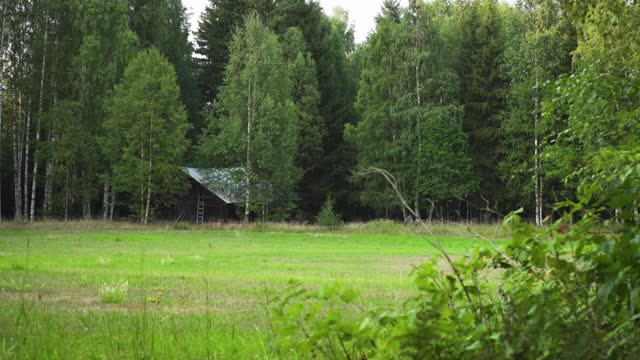 宽阔的森林草地，在瑞典有一个古老的小屋视频素材