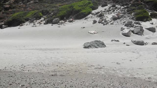 大海和落基山视频素材