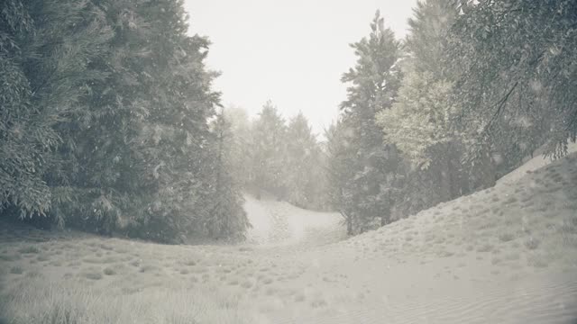 冬天的森林里飘着雪花，温柔可爱的圣诞节早晨飘着雪花。冬天的风景。白雪覆盖着树木和小径。雾。超逼真的3d无缝循环动画视频素材