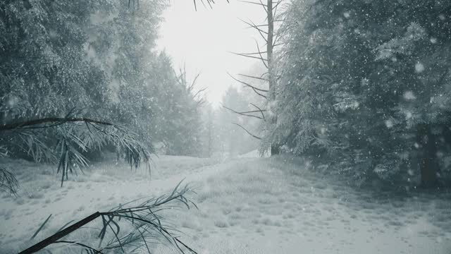 冬天的森林里飘着雪花，温柔可爱的圣诞节早晨飘着雪花。冬天的风景。圣诞节的背景。冰雪覆盖的树木。雾。超逼真的3d无缝循环动画视频素材