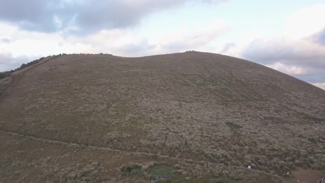 韩国济州岛爱越县的银色草地和Saebyeol Oreum(寄生火山)视频素材