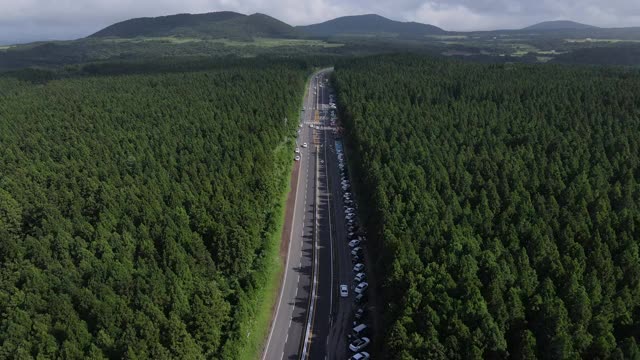 韩国济州岛Jeju-si Jeju-si, Jocheon县Jeju Saryeoni森林小径前的道路和汽车运动视频素材