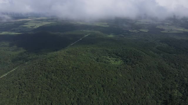 韩国济州岛Jeju-si Jocheon县Bulgeun Oreum(寄生火山)周围的森林和山脉视频素材