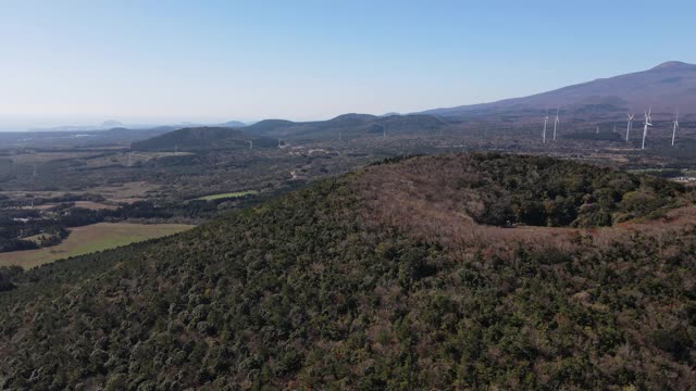 位于韩国济州岛西浦溪的木林加里Oreum(寄生火山)的森林和田野视频素材