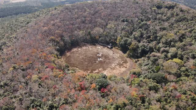 韩国济州岛西浦浦(寄生火山)Mulyeongari Oreum的田野和森林视频素材