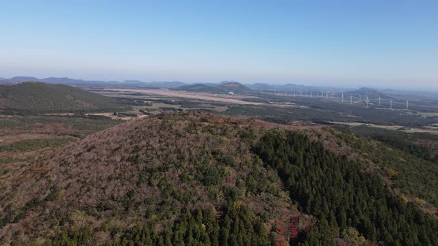 韩国济州岛西浦浦(寄生火山)Mulyeongari Oreum的田野和森林视频素材