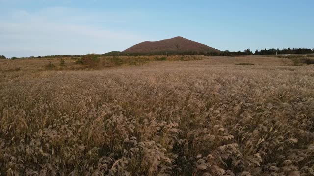 夕阳与Barime Oreum(寄生火山)背景/济州岛，韩国视频素材